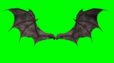 黑暗蝙蝠翅膀展开煽动绿幕免抠像影视特效视频素材