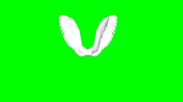 天使翼白色翅膀绿幕免抠像影视特效视频素材