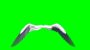 天使翼白色翅膀绿幕免抠像影视特效视频素材
