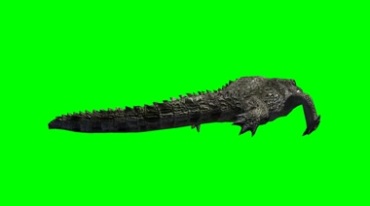 鳄鱼游动摆动尾巴绿幕免抠像影视特效视频素材