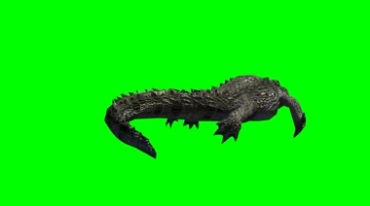 鳄鱼游动摆动尾巴绿幕免抠像影视特效视频素材