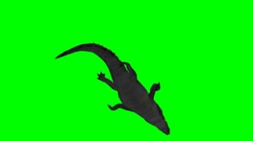 鳄鱼短吻鳄游动绿幕免抠像影视特效视频素材