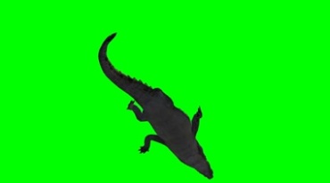 鳄鱼短吻鳄游动绿幕免抠像影视特效视频素材