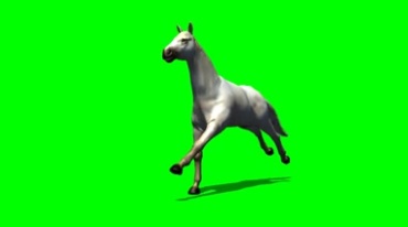 白色骏马奔腾奔跑绿幕免抠像影视特效视频素材