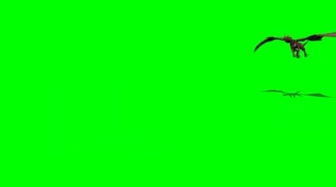 飞龙翼龙飞兽坐骑迎面飞来绿幕抠像影视特效视频素材