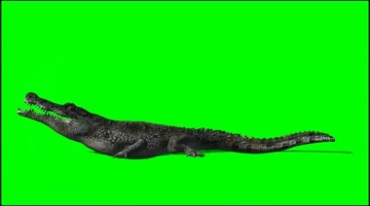 鳄鱼吃食物动作绿幕免抠像影视特效视频素材