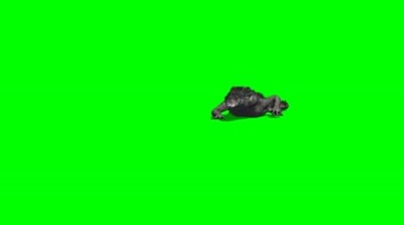 鳄鱼爬行绿幕免抠像影视特效视频素材