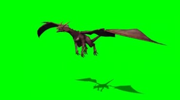 翼龙展翅空中飞翔绿幕免抠像影视特效视频素材