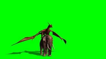 翼龙站长大象背上飞翔绿幕免抠像影视特效视频素材