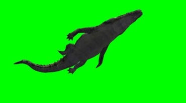 鳄鱼短吻鳄游动泳姿仰拍绿幕免抠像影视特效视频素材