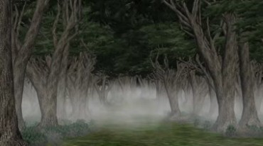 黑暗恐怖森林迷雾浓雾起雾视频素材