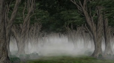 黑暗恐怖森林迷雾浓雾起雾视频素材