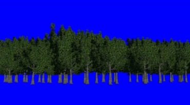森林树林绿幕抠像特效视频素材