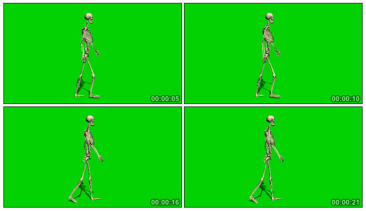 骷髅人骨骼行走绿屏抠像影视特效视频素材