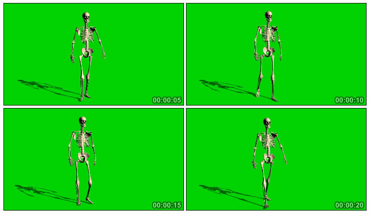 骷髅骨架人行走步行绿屏抠像影视特效视频素材