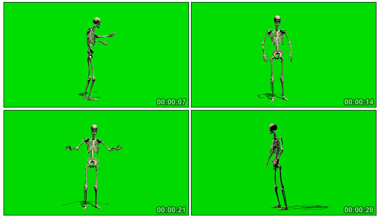 骷髅人手势肢体语言交流绿屏免抠像影视特效视频素材