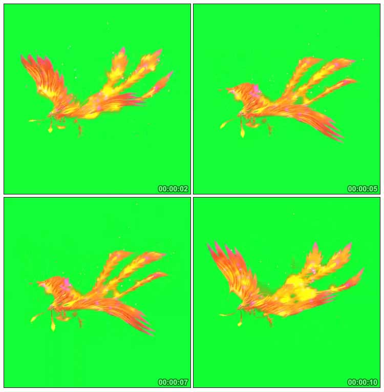 火凤凰涅火焰燃烧空中飞翔绿屏抠像影视特效视频素材