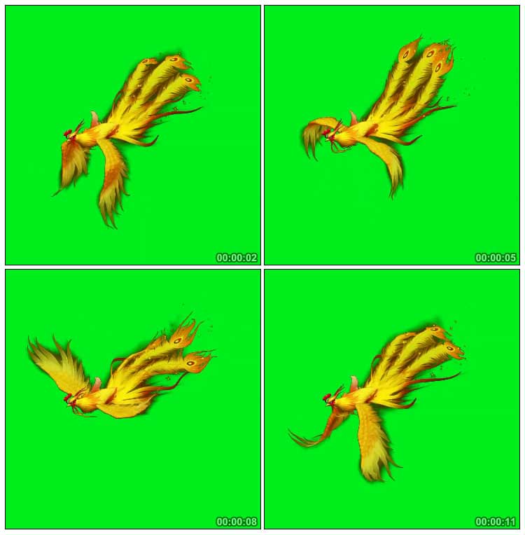 金色凤凰神鸟空中飞翔绿屏抠像影视特效视频素材