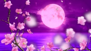 梅花粉色花瓣飘落海上月亮圆月明月视频素材