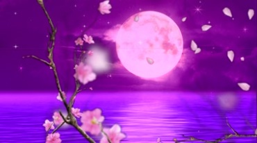 梅花粉色花瓣飘落海上月亮圆月明月视频素材