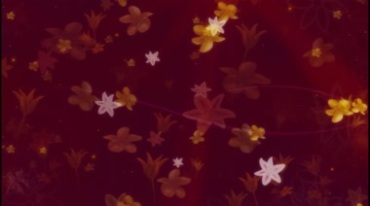 红色小花朵小碎花视频素材