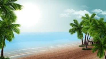海滩沙子颗粒沙粒海南岛椰子树景色视频素材