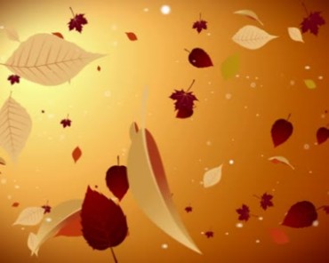 各种树叶在空中漂浮动态特效视频素材