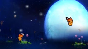 月亮圆月蝴蝶飞舞视频素材