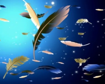 空中羽毛漂浮动态背景视频素材
