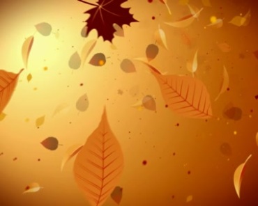 树叶漂浮空中叶子飘动视频素材