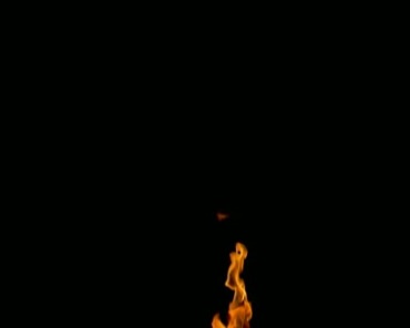 火焰燃烧篝火火苗视频素材