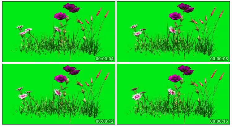 花草花丛动态生长绿屏抠像特效视频素材