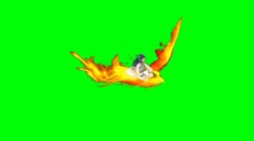 神鸟朱雀凤凰坐骑飞行绿幕抠像特效视频素材
