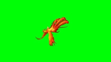 神鸟朱雀凤凰飞翔绿屏抠像巧影特效视频素材
