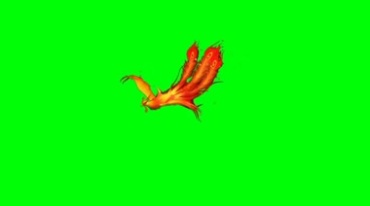 神鸟朱雀凤凰飞翔绿屏抠像巧影特效视频素材