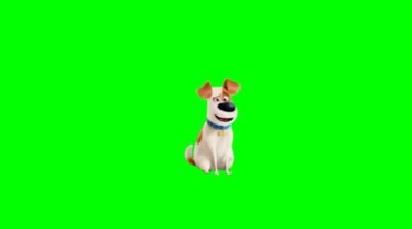 卡通可爱小狗绿屏抠像特效（带通道）视频素材