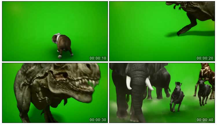 小狗恐龙大象斑马河马长颈鹿动物绿屏抠像特效视频素材