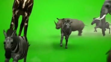 草原动物奔跑迁徙绿屏抠像特效视频素材