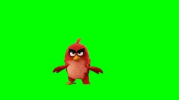 愤怒的小鸟跳舞绿屏抠像透明通道后期特效视频素材