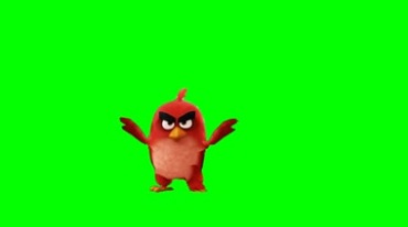愤怒的小鸟跳舞绿屏抠像透明通道后期特效视频素材
