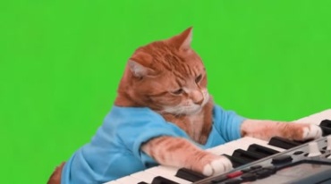 猫咪弹琴绿屏抠像影视后期特效视频素材