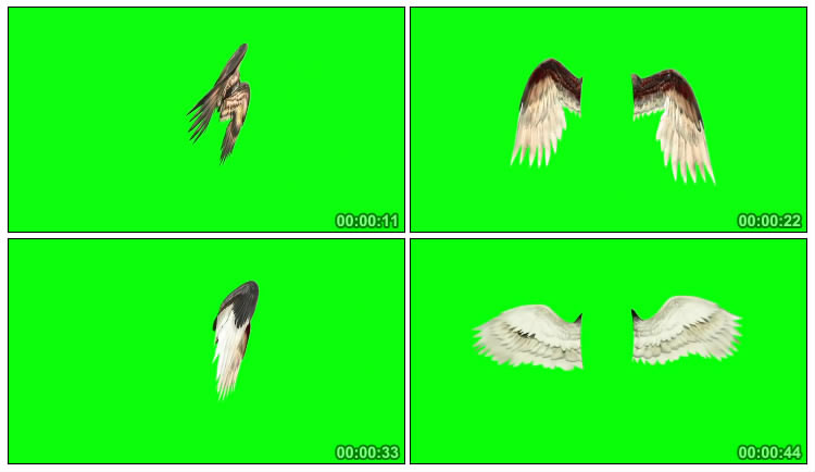 天使翅膀鸟的翅膀集锦绿屏抠像特效视频素材