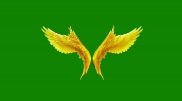 天使后背翅膀各种样式大全绿屏抠像特效视频素材