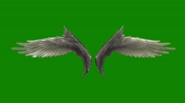 天使后背翅膀各种样式大全绿屏抠像特效视频素材