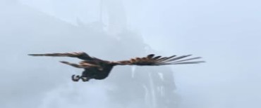 雄鹰翱翔在山峰穿梭飞越云层之上视频素材