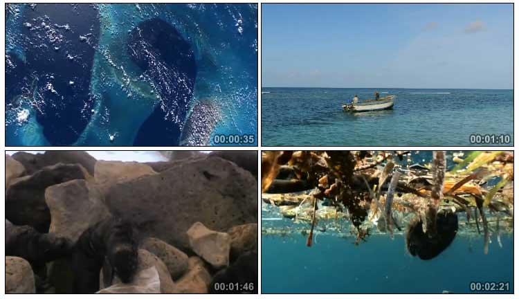 保护海洋环境生活垃圾水污染生态破坏实拍视频素材