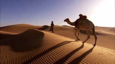 骆驼队伍商队沙漠行走运输视频素材