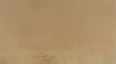 沙漠沙尘暴滚滚袭来骆驼商队驼队避风实拍视频素材