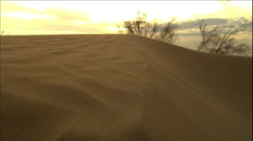 沙漠风沙流沙沙子吹起沙粒特写实拍视频素材