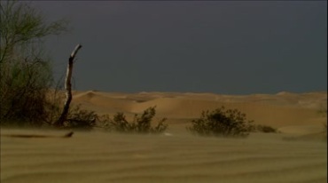 沙漠风沙流沙沙子吹起沙粒特写实拍视频素材